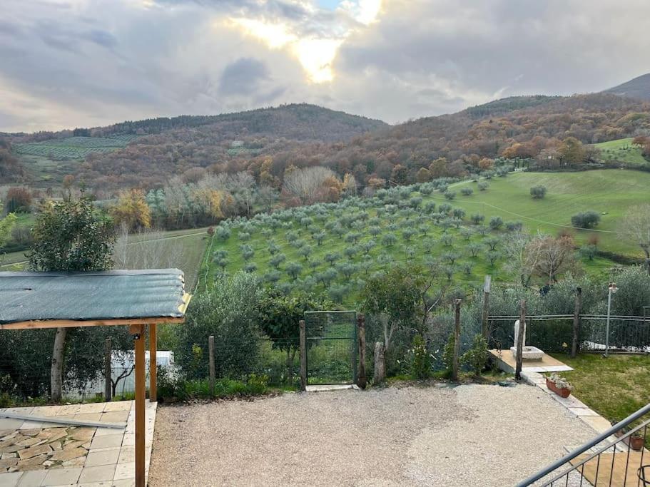 Costa Del Sole 46 Διαμέρισμα Cetona Εξωτερικό φωτογραφία